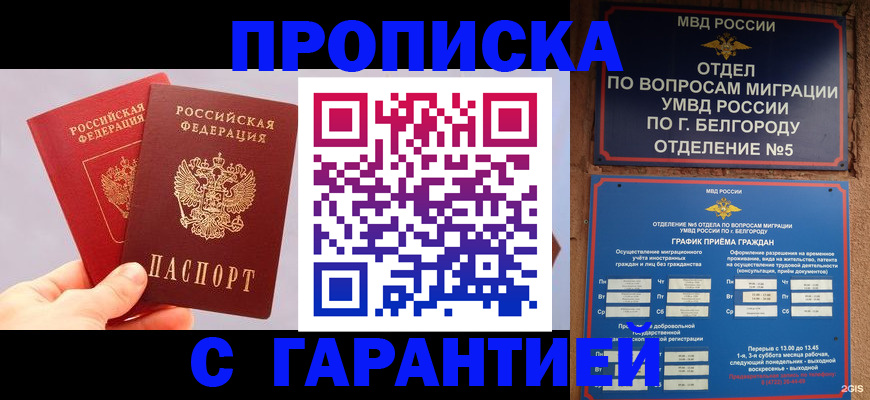 прописка 2025 в Тейково